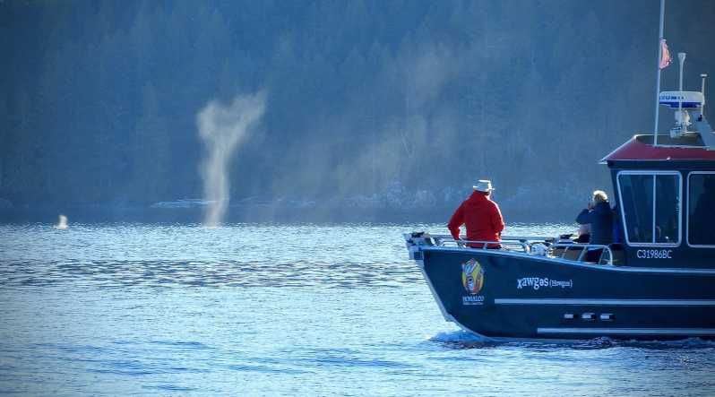 Imagen del tour: Campbell River: Aventura de avistamiento de ballenas en el Mar Salish