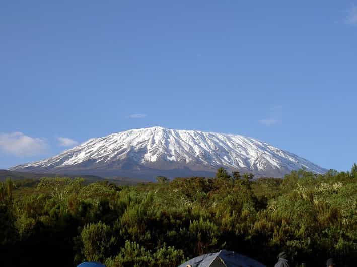 Imagen del tour: Excursión de un día al Parque Nacional del Monte Kilimanjaro