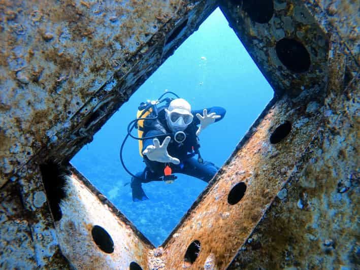 Imagen del tour: Aqaba: Buceo Privado en el Mar Rojo para Principiantes o Experimentados