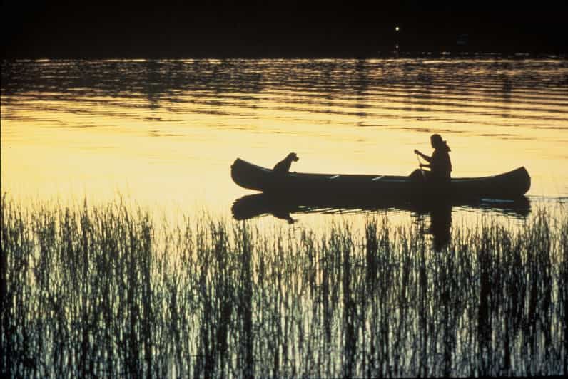 Imagen del tour: Siracusa: Paseo guiado en canoa por la Reserva Natural del Río Ciane