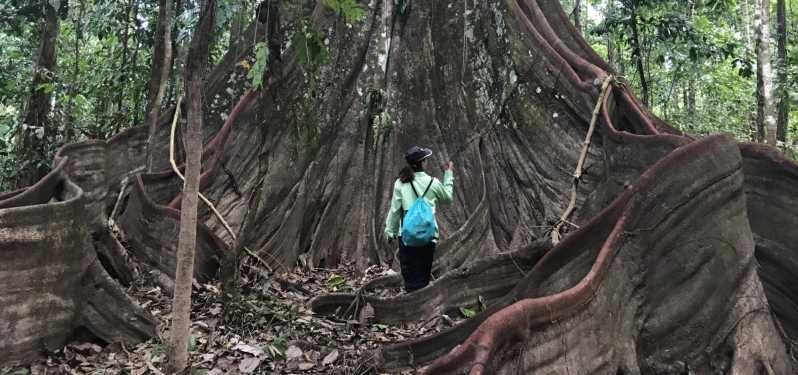 Imagen del tour: Leticia Increíbles excursiones de tres días por la selva