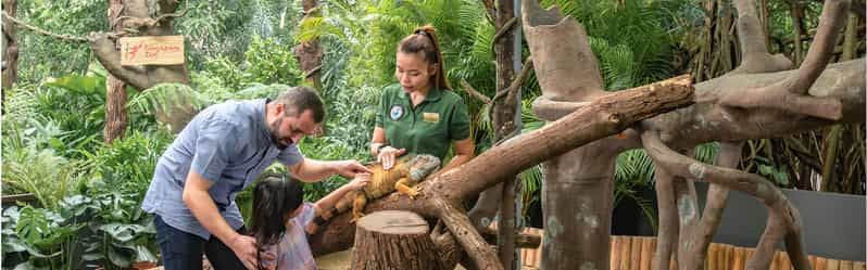 Imagen del tour: Zoo de Singapur: ticket de mañana con recogida en el hotel