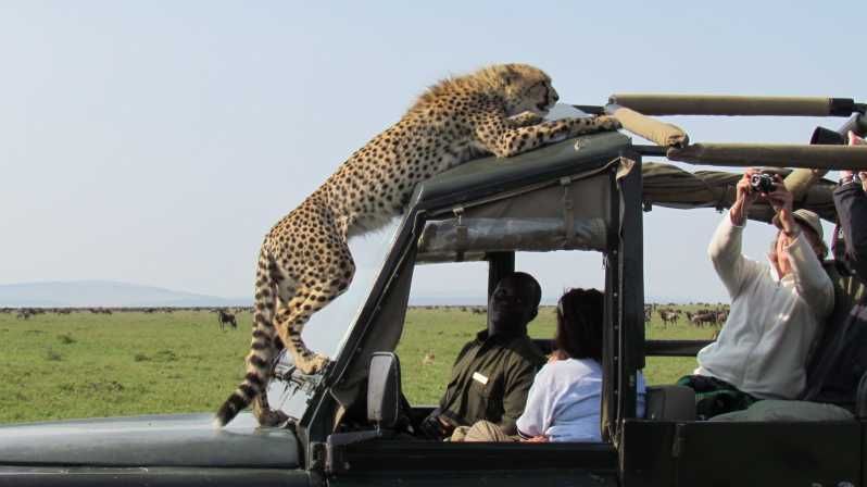 Imagen del tour: Nairobi: Excursión en grupo de 3 días a Maasai Mara con safari en jeep 4x4