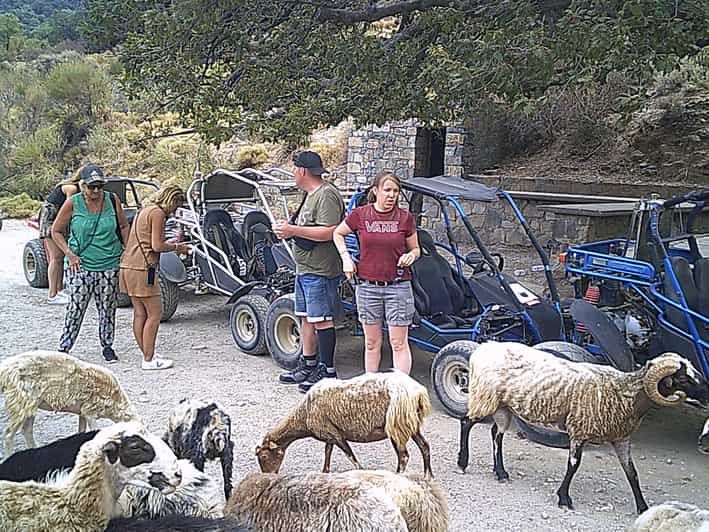 Imagen del tour: Buggy safari Creta (Traslado y almuerzo) analipsi- hersonisos