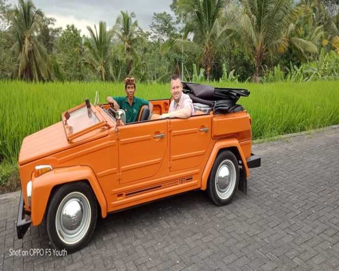 Imagen del tour: Explorando Kintamani con el coche descapotable VW Safari