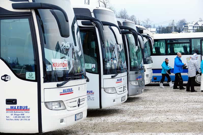 Imagen del tour: Desde Cracovia: Traslado en autobús a/desde Zakopane