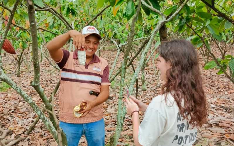 Imagen del tour: Guayaquil: Visita a una finca de cacao con elaboración de chocolate y almuerzo