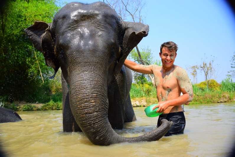 Imagen del tour: Phuket: Excursión al Programa de Salvamento y Cuidado de Elefantes