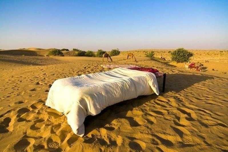 Imagen del tour: Desde Jaisalmer : Noche bajo las estrellas con Safari en Camello