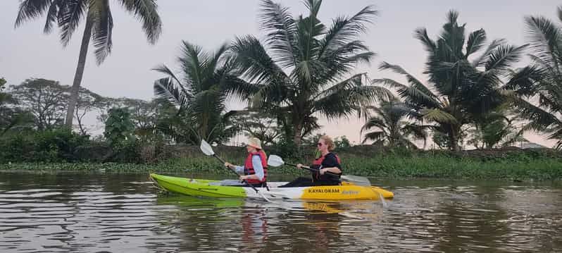 Imagen del tour: Excursión en kayak por los remansos al amanecer y al atardecer (Nedumudy)