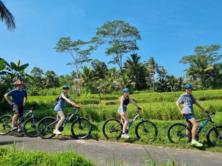 Imagen del tour: Descenso en bicicleta por Bali