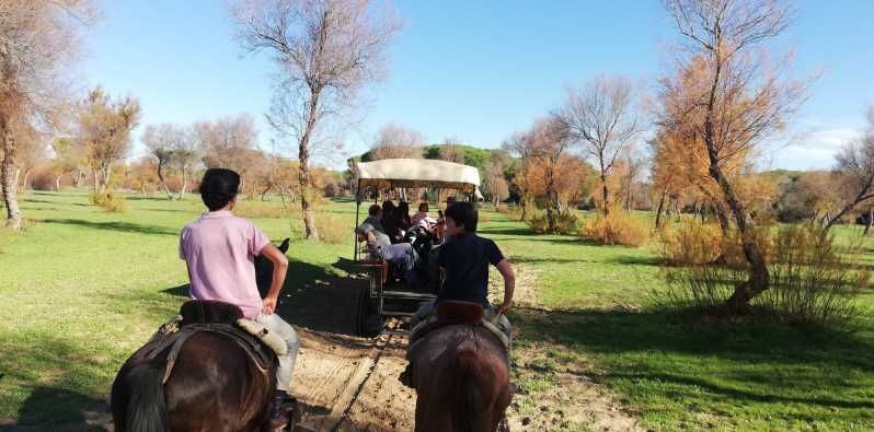 Imagen del tour: Ruta en coche de caballos por el Parque de Doñana y La Villa