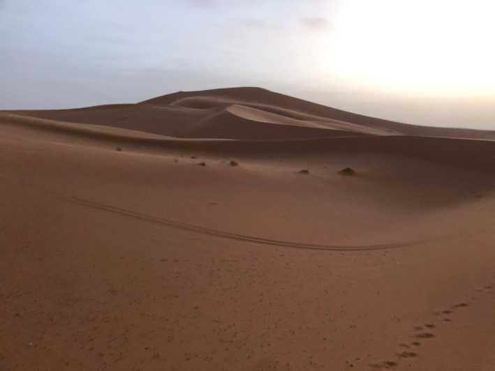 Imagen del tour: Excursión de 3 días al desierto de Merzouga en el Sáhara con campamento de lujo