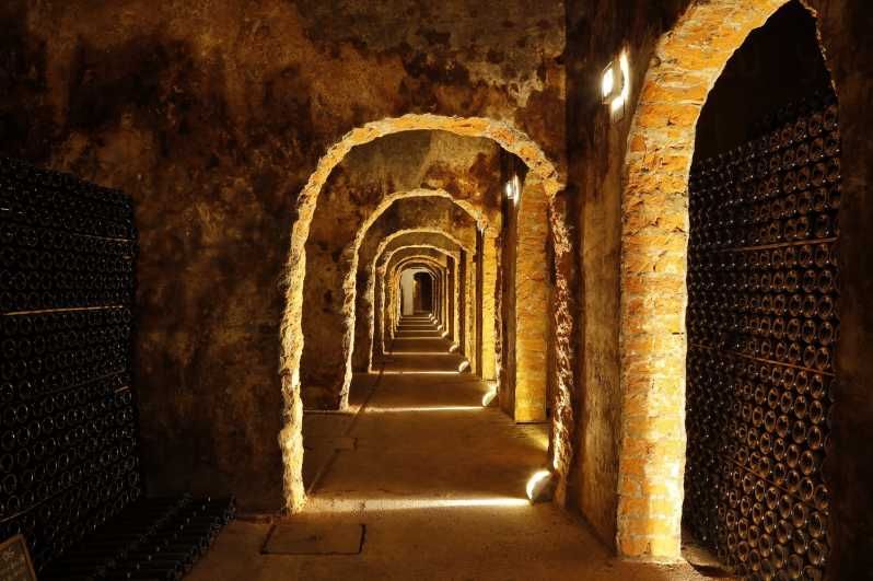 Imagen del tour: Bodegas Messias con Degustación de Vino Espumoso y Vino de Oporto