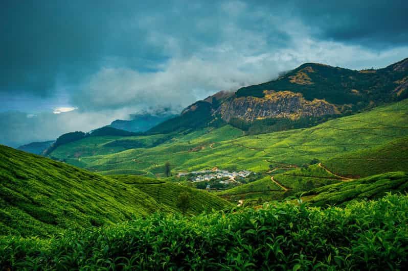 Imagen del tour: Excursión de ida y vuelta de un día a Munnar desde Kochi que incluye todo lo esencial