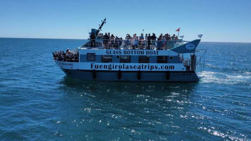 Imagen del tour: Fuengirola: Excursión en catamarán para avistar delfines