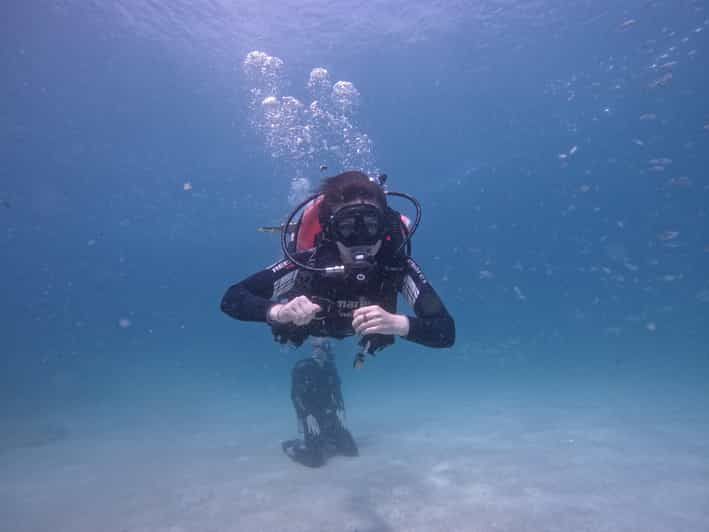 Imagen del tour: Curso PADI Open Water Diver con traslado y almuerzo