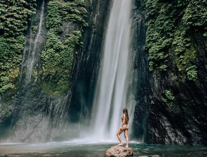 Imagen del tour: Excursión a las Mejores Cascadas del Norte de Bali