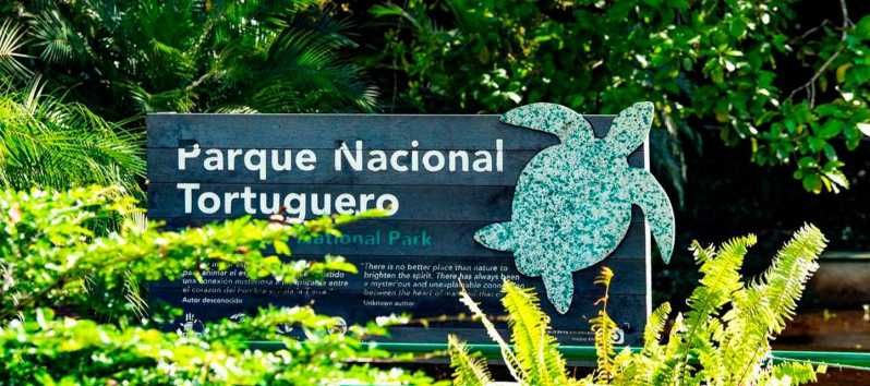 Imagen del tour: Parque Nacional de Tortuguero: Las mejores cosas que hacer en Tortuguero