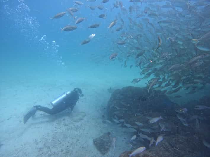 Imagen del tour: Excursión de buceo para buceadores certificados en Fujairah con almuerzo barbacoa