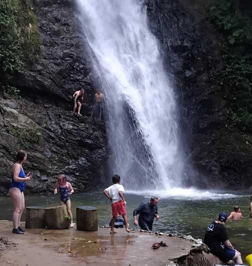 Imagen del tour: Excursión por la selva de Fiyi y descubrimiento de una cascada con ceremonia de kava