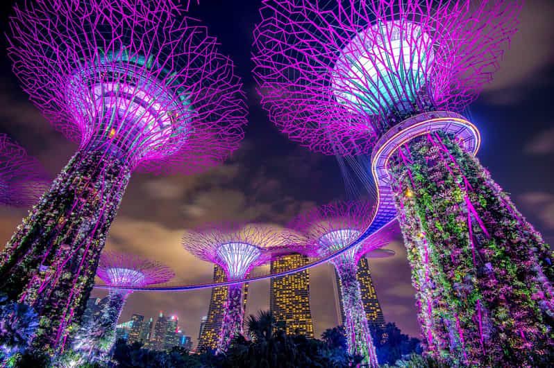 Imagen del tour: Singapur Marina Bay Sands & Gardens By The Bay & Traslado