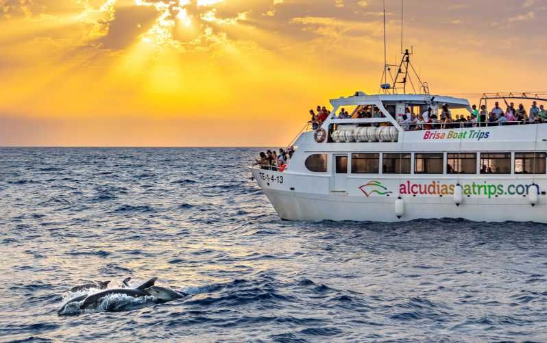 Imagen del tour: Port d'Alcudia: Amanecer en el Mar y Excursión en Barco para Avistar Delfines