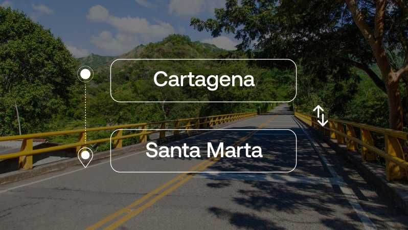 Imagen del tour: Cartagena desde o hacia Santa Marta Traslado Privado