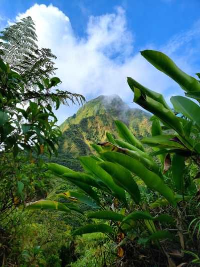 Imagen del tour: Dominica: ¡excursión a pie al lago hirviente!