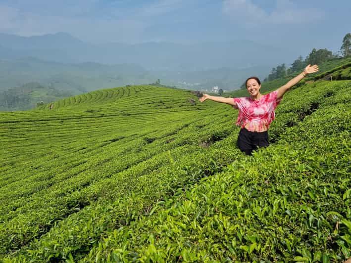 Imagen del tour: Taxi del Aeropuerto de Cochin a Munnar