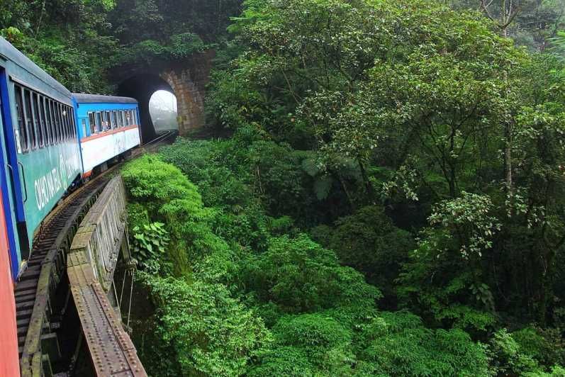 Imagen del tour: Rieles panorámicos: Aventura de Curitiba a Morretes en tren