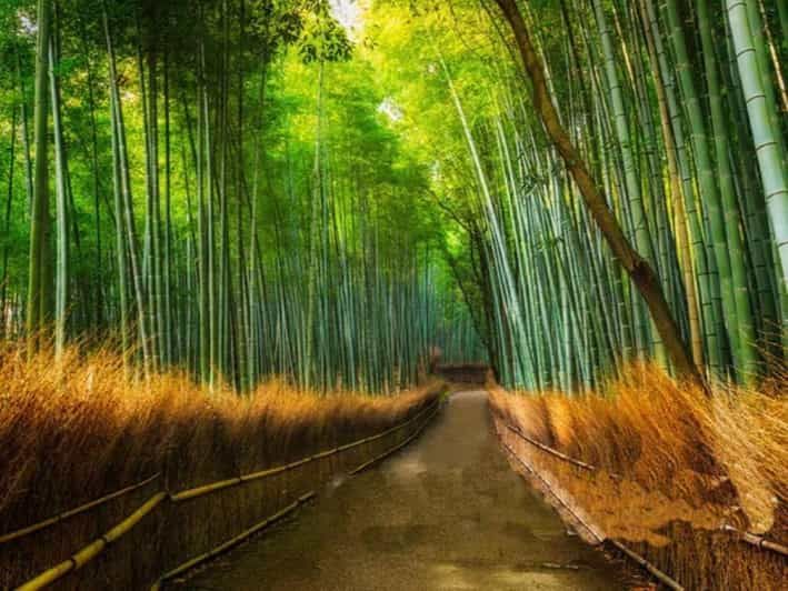 Imagen del tour: Kioto: Visita de un día a Arashiyama y el Templo Sanzen In