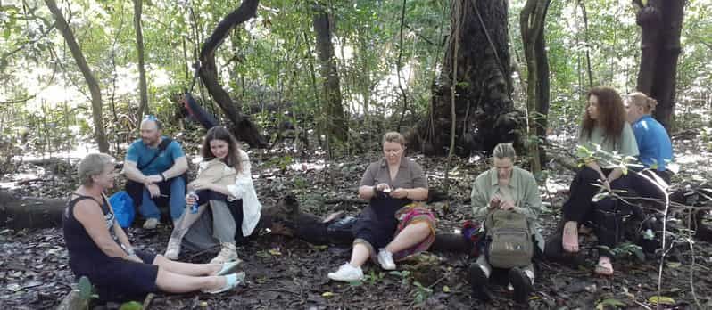 Imagen del tour: Playa de Diani: Experiencia cultural y natural Kaya Kinondo