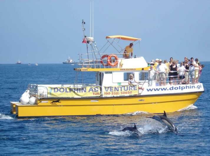Imagen del tour: Gibraltar: tour de avistamiento de delfines