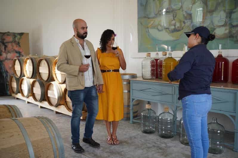 Imagen del tour: Visita guiada y degustación 4 vinos