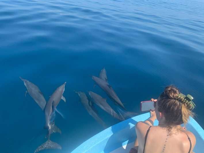 Imagen del tour: Puerto Escondido: Tour para disfrutar Delfines y Vida Marina