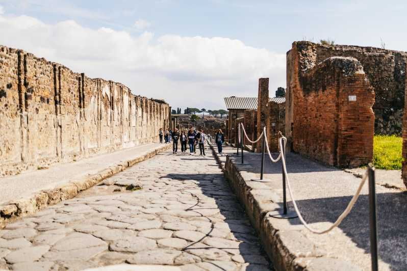 Imagen del tour: Nápoles: Pompeya y el Vesubio con almuerzo y cata de vinos