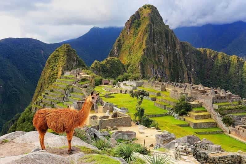 Imagen del tour: Machu Picchu: Ticket de entrada oficial para el Circuito 2