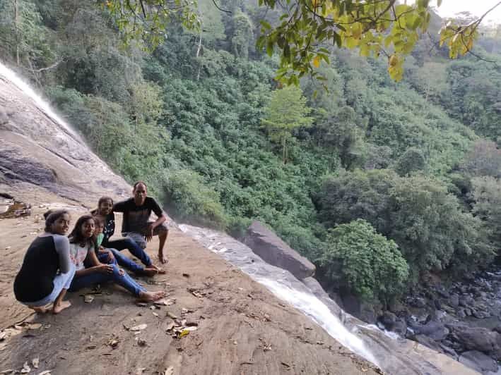 Imagen del tour: Munnar: Excursión al Jardín del Té y Safari en Elefante en 4x4