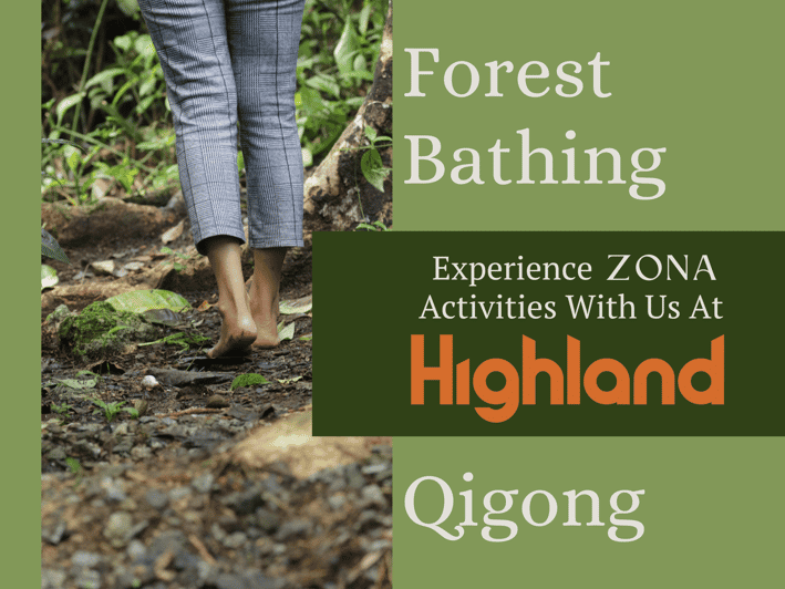 Imagen del tour: ZONA: Sumérgete en la naturaleza - Baño en el bosque y Qigong