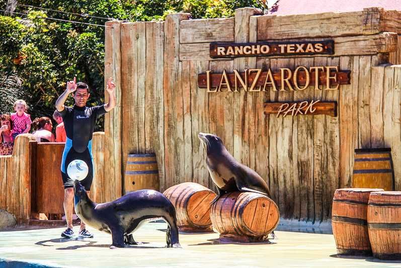 Imagen del tour: Entrada al Rancho Texas Lanzarote Park
