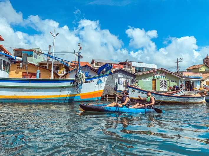 Imagen del tour: Excursión en kayak - Avistamiento de animales, baño y playa secreta