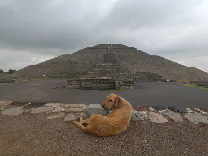 Imagen del tour: Gran Excursión Personal a las Pirámides de Teotihuacán c/Tickets