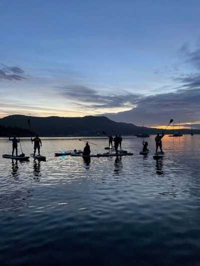 Imagen del tour: Bahía de Brentwood: Excursión en Stand-up Paddleboard por la Bioluminiscencia