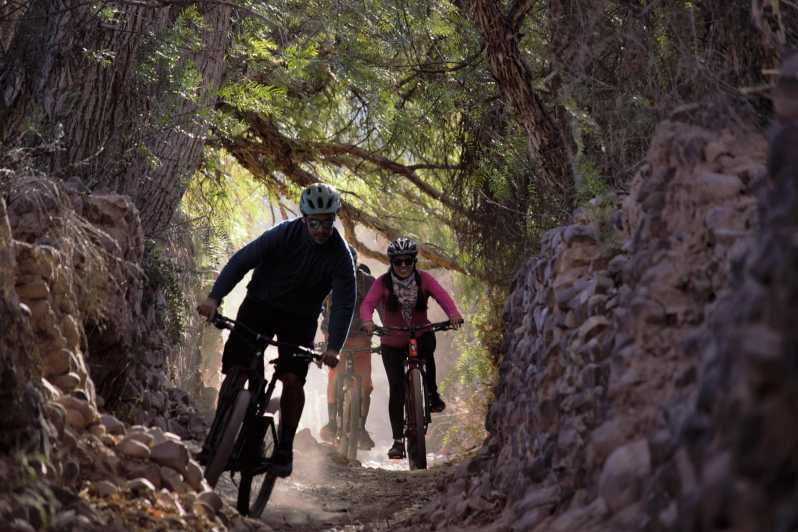 Imagen del tour: Tilcara: 2 horas en bicicleta por la zona rural