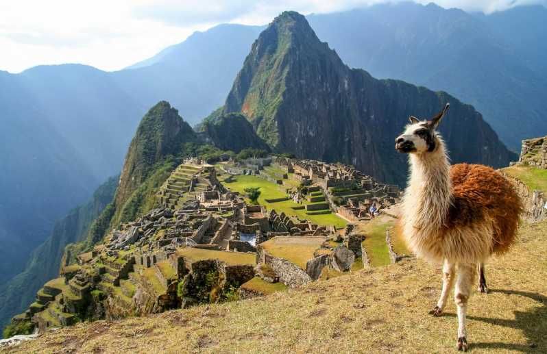 Imagen del tour: Aventura en Machu Picchu: Ticket de entrada a la Maravilla del Mundo.