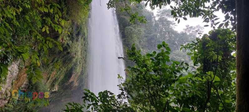 Imagen del tour: Desde Palenque: Excursión a las Cascadas de Misol-Ha y Agua Azul
