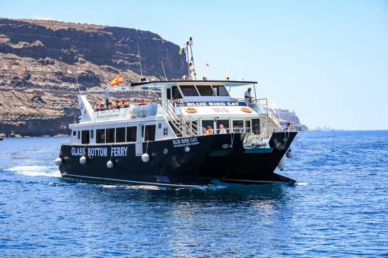 Imagen del tour: Gran Canaria: crucero en catamarán para avistas delfines y esnórquel