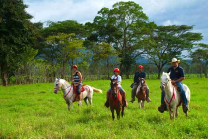 Imagen del tour: Desde Jaco: Paseos a caballo en la Hacienda Nosavar