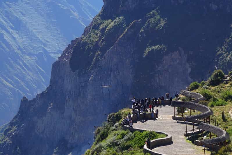 Imagen del tour: Excursión de un día al Cañón del Colca desde Arequipa con final en Puno